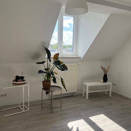 Cozy Work And Stay Pretty Home Chemnitz Exterior foto