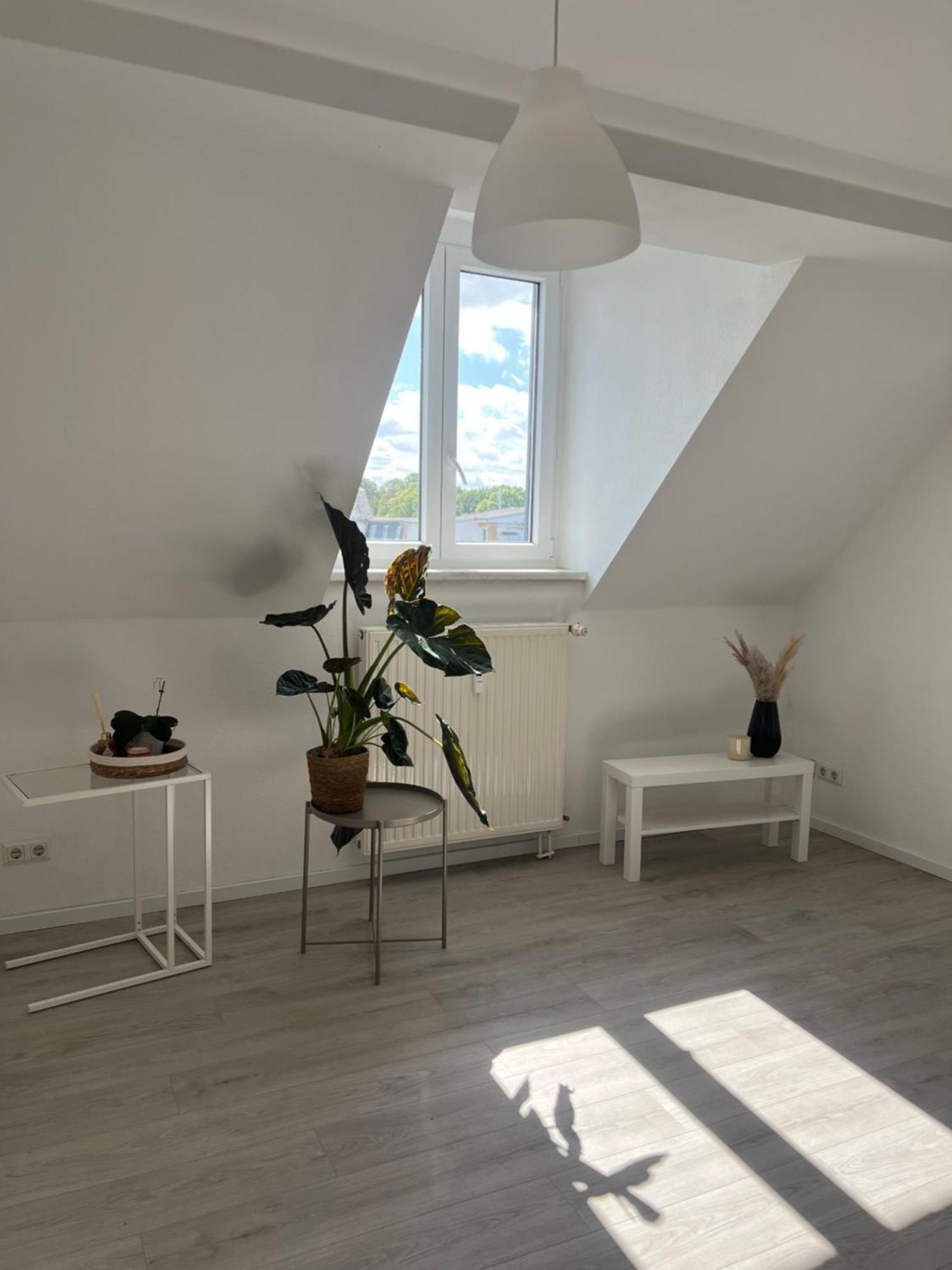 Cozy Work And Stay Pretty Home Chemnitz Exterior foto